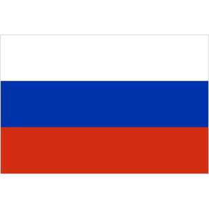 Флаг России 15х22 см с логотипом