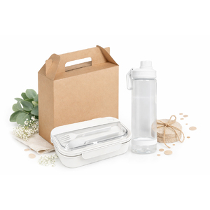 Набор подарочный Solution Everyday Kit  Duo (бутылка для воды, ланчбокс), белый с логотипом