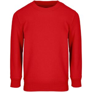 Свитшот детский Columbia Kids, красный, на рост 96-104