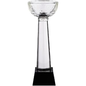 Кубок Cupture, большой с логотипом