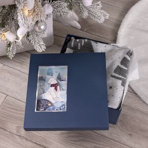 Коробка The Blue Bear, M с логотипом