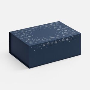 Коробка Snowlace, синяя с логотипом