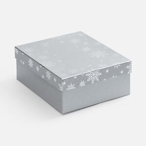 Коробка Wintry, серебристая с логотипом