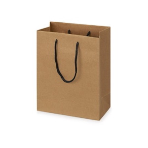 Пакет подарочный Kraft S, 23x30x12 см (Р) с логотипом