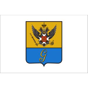 Флаг города Гатчина Ленинградской области с логотипом