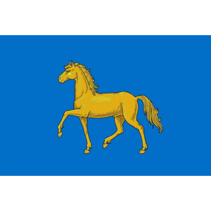 Флаг города Минусинск с логотипом