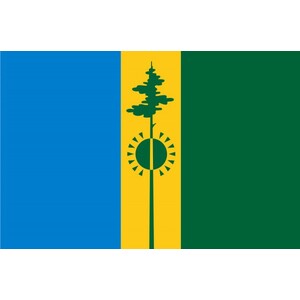 Флаг города Нижнекамск с логотипом