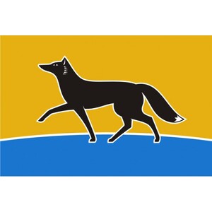 Флаг города Сургут с логотипом