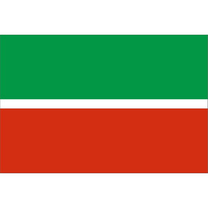 Флаг субъекта РФ Республика Татарстан с логотипом