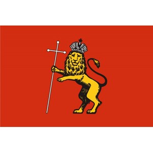 Флаг города Владимир с логотипом