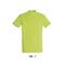 зеленое яблоко