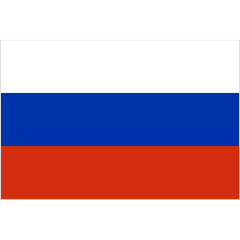 Флаг России 70х105 см с логотипом