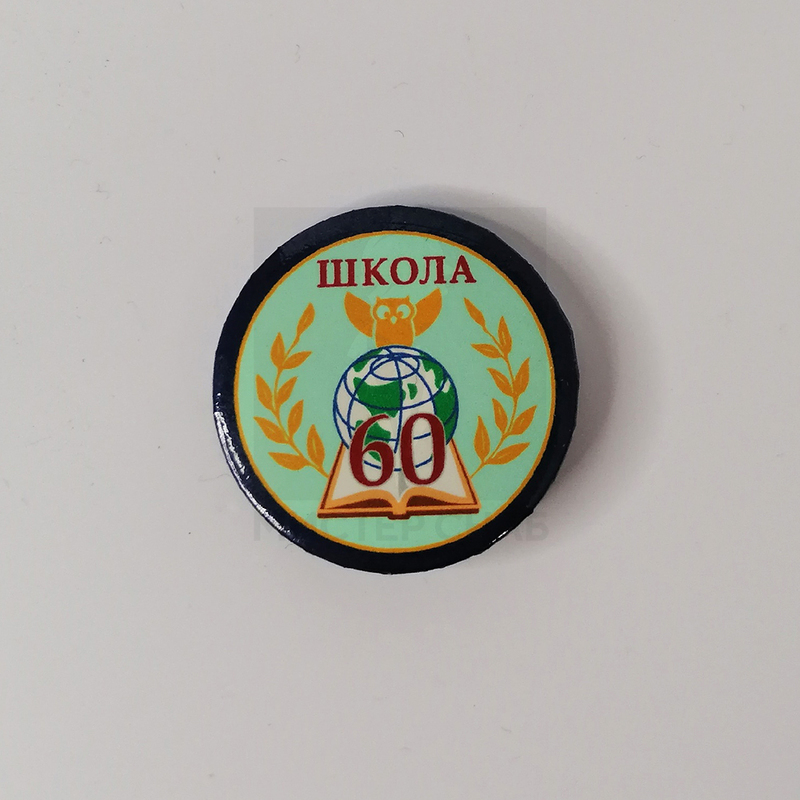 Значки эмблема школы с логотипом