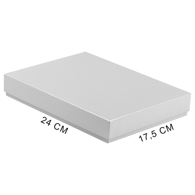 Коробка подарочная, размер 24*17,5*3 см, Solution Superior Linen, серебристая, бежевый ложемент под индивидуальную вырубку с логотипом