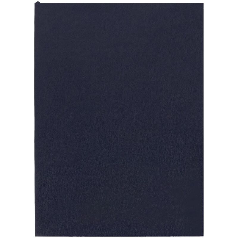 Ежедневник Flat Light, недатированный, иссиня-черный с логотипом