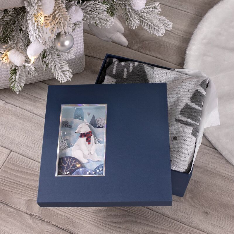 Коробка The Blue Bear, M с логотипом