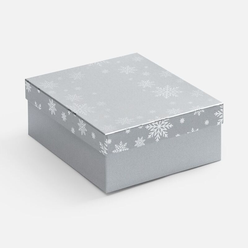Коробка Wintry, серебристая с логотипом