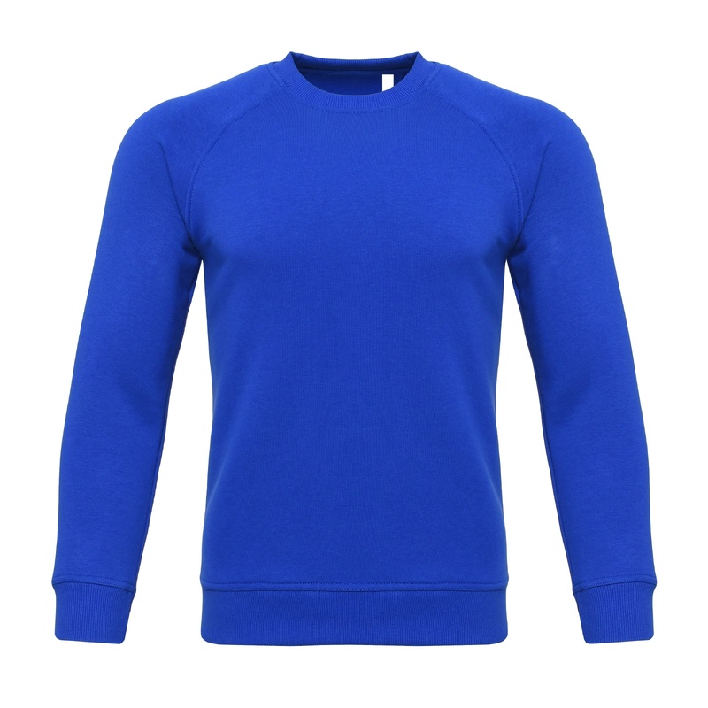 New Gen свитшот 300 г/м2 3-нитка с начесом ярко-синий 2XL с логотипом