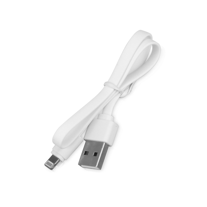 Кабель USB 2.0 A - Lightning с логотипом