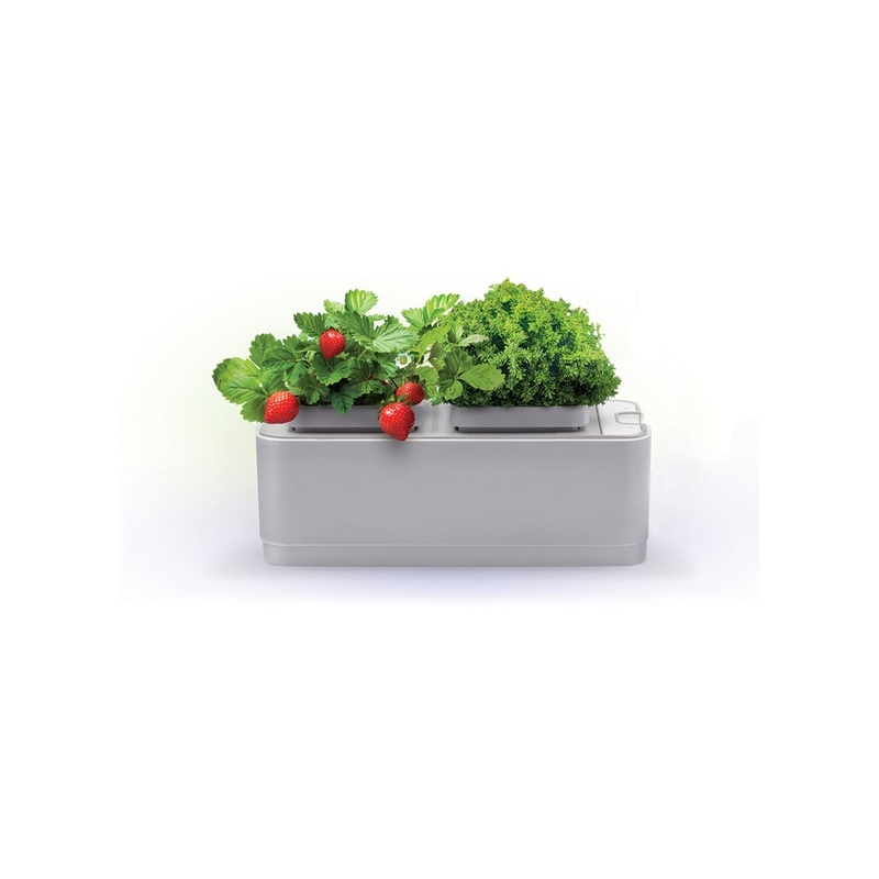 Компактный смарт-сад iGarden с логотипом