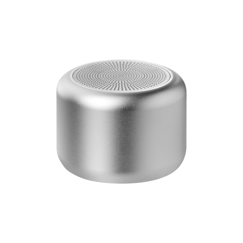Беспроводная колонка Пэшн (Passion) 80dB 600 mAh (Bluetooth 5.4), серебряная с логотипом