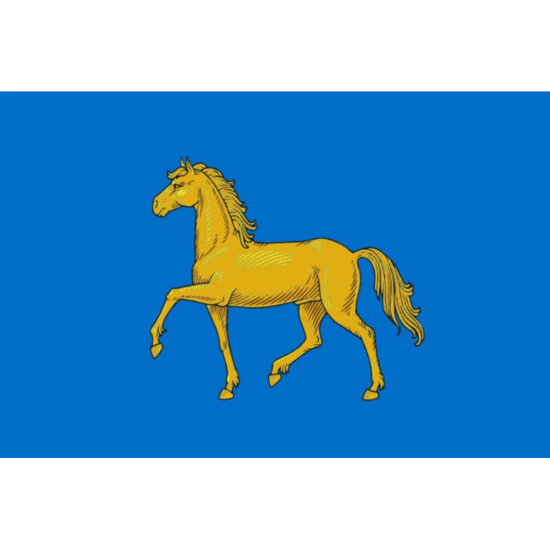 Флаг города Минусинск с логотипом
