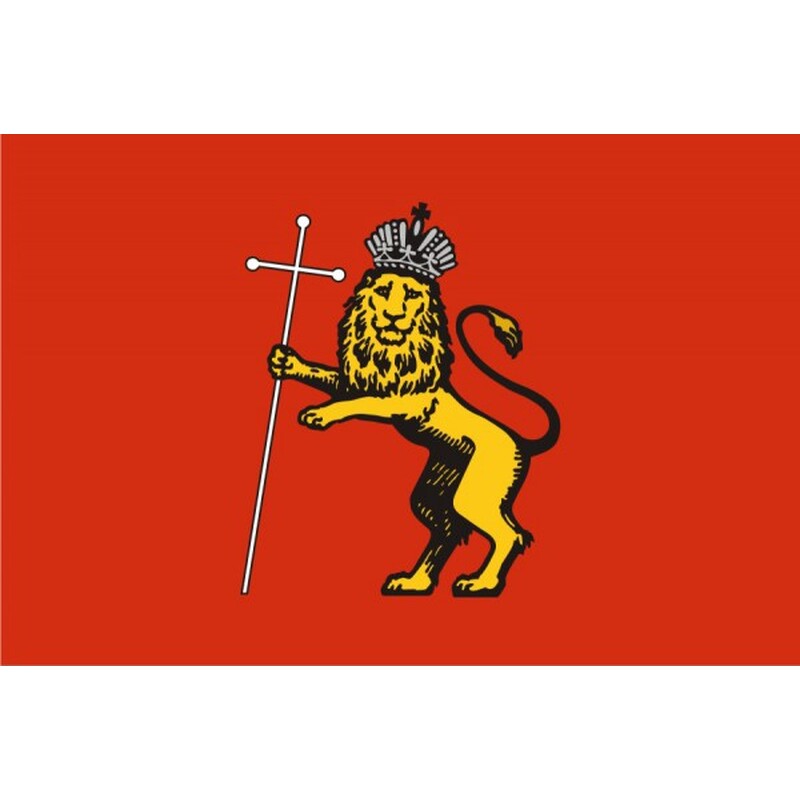 Флаг города Владимир с логотипом