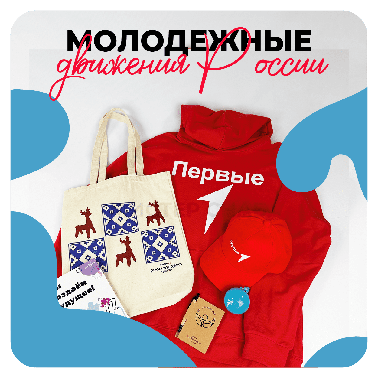 Молодежные движения России